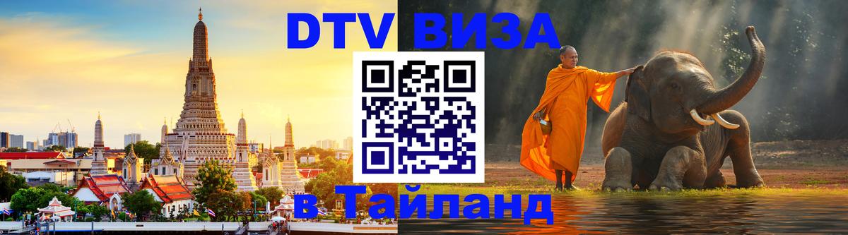 Сколько стоит DTV виза — актуальные цены, оформление даже без документов - Абу-Даби  18.11.2025 